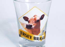 Jogo de copos de aperitivo Jersey Brasil