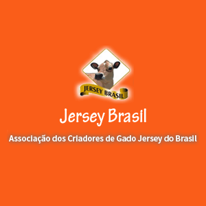 (c) Gadojerseybr.com.br